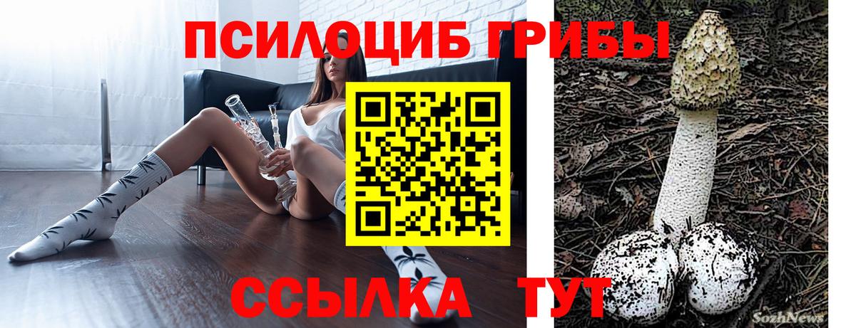 Галлюциногенные грибы Magic Shrooms  Вход с VPN  Псилоцибиновые грибы Cubensis  Новокубанск 