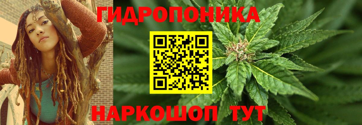 Каннабис план  Конопля THC 21%  Вход с VPN  Новокубанск  Бошки марихуана Bruce Banner 